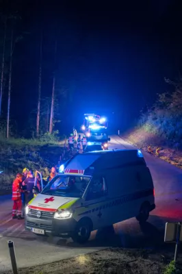 PKW stürzt über Böschung und kam knapp vor weiterem Abhang zum Stillstand - 2 Personen verletzt DSC-8133.jpg