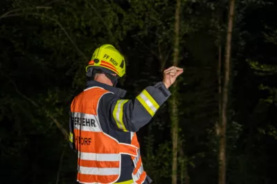 PKW stürzt über Böschung und kam knapp vor weiterem Abhang zum Stillstand - 2 Personen verletzt DSC-8241.jpg