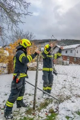 PKW rutscht gegen Gartenzaun - Feuerwehr Inzersdorf im Einsatz DSC-9229.jpg