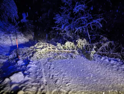 Einsatzreiches Wochenende für die Einsatzkräfte in Schwertberg PXL-20231202-002124908.jpg