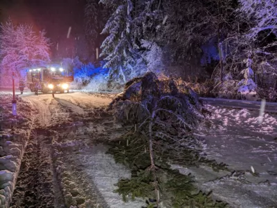 Einsatzreiches Wochenende für die Einsatzkräfte in Schwertberg PXL-20231202-180412076.jpg