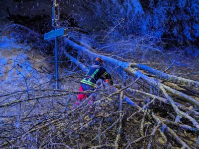 Einsatzreiches Wochenende für die Einsatzkräfte in Schwertberg PXL-20231202-194410861.jpg