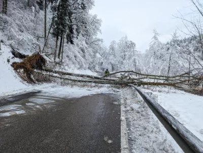 Einsatzreiches Wochenende für die Einsatzkräfte in Schwertberg PXL-20231203-083234921.jpg