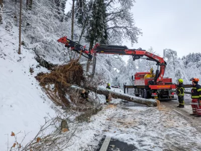 Einsatzreiches Wochenende für die Einsatzkräfte in Schwertberg PXL-20231203-091436901.jpg