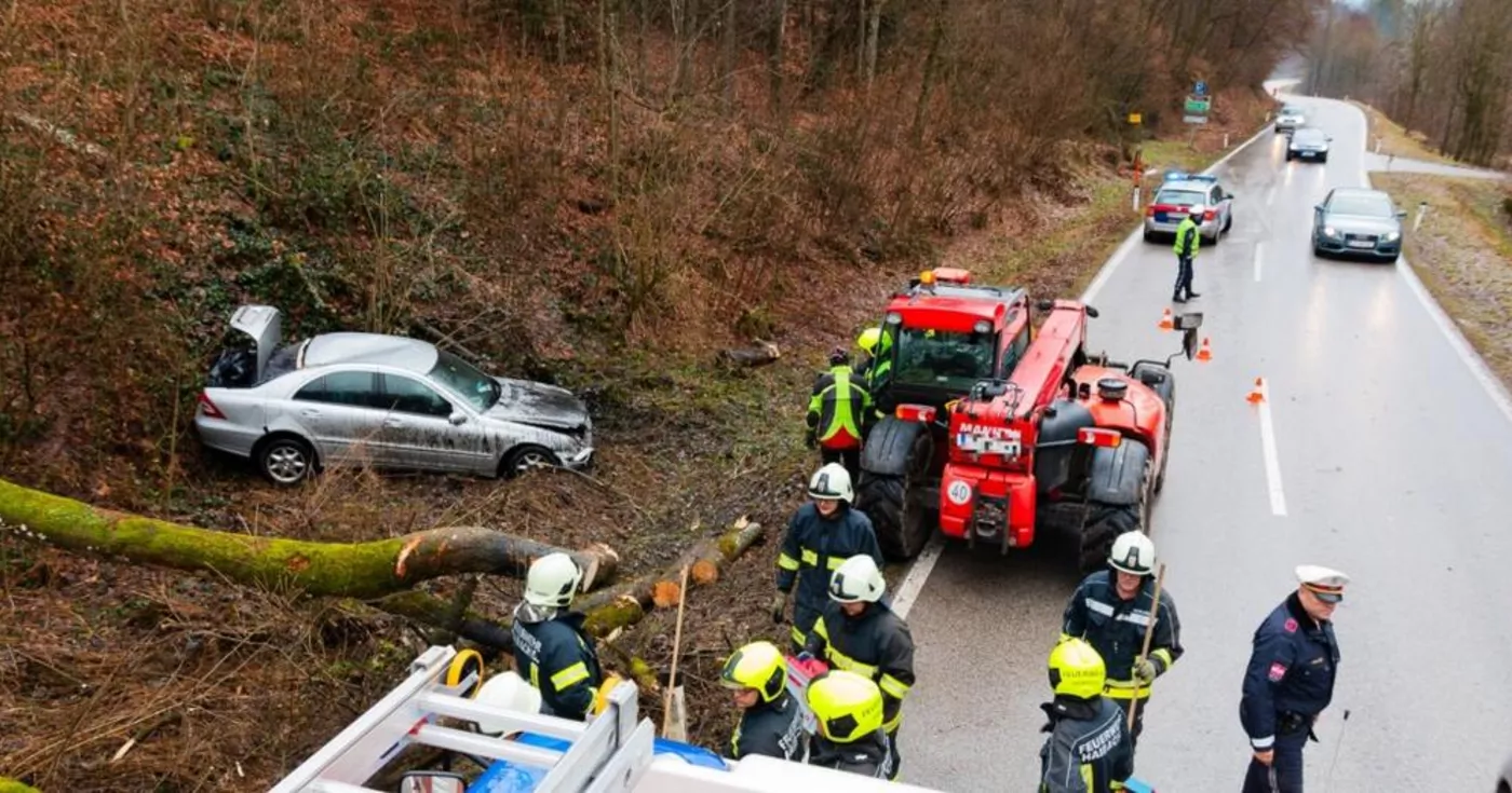 Titelbild: Pkw prallte gegen Baumstämme und überschlug sich