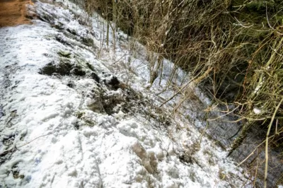 Baum verhindert Absturz von PKW in Grünau im Almtal DSC-2426.jpg