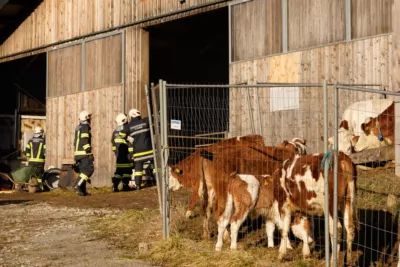 13 Feuerwehren bei Brand in Neumarkt im Mühlkreis im Einsatz PANC-2024013014171-049.jpg