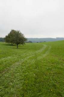 Herrenloses Auto kracht in Gebäude pkw-ins-rollen-geraten_01.jpg