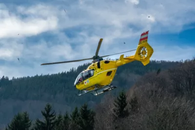 Forstunfall in Inzersdorf im Kremstal - Notarzthubschrauber im Einsatz DSC-5279.jpg