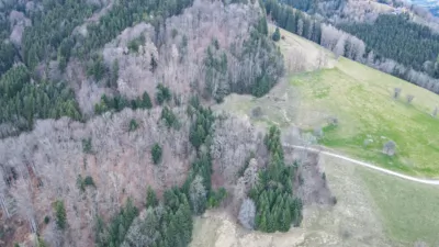 Forstunfall in Inzersdorf im Kremstal - Notarzthubschrauber im Einsatz dji-fly-20240309-175626-459-1710003412182-photo.jpg