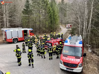 Feuerwehren zu vermeintlichen Waldbrand alarmiert image4.jpg