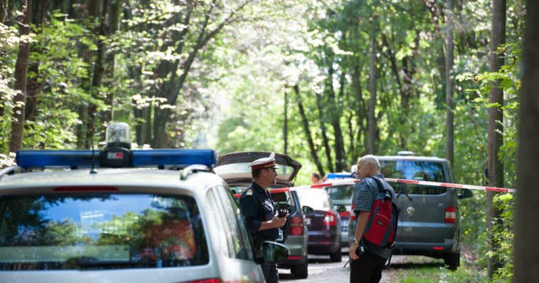 Titelbild: Vergewaltigung im Wasserwald - Tatverdächtiger zu allen drei Taten geständig