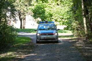 Vergewaltigung im Wasserwald - Tatverdächtiger zu allen drei Taten geständig _vergewaltigung-wasserwald_37.jpg