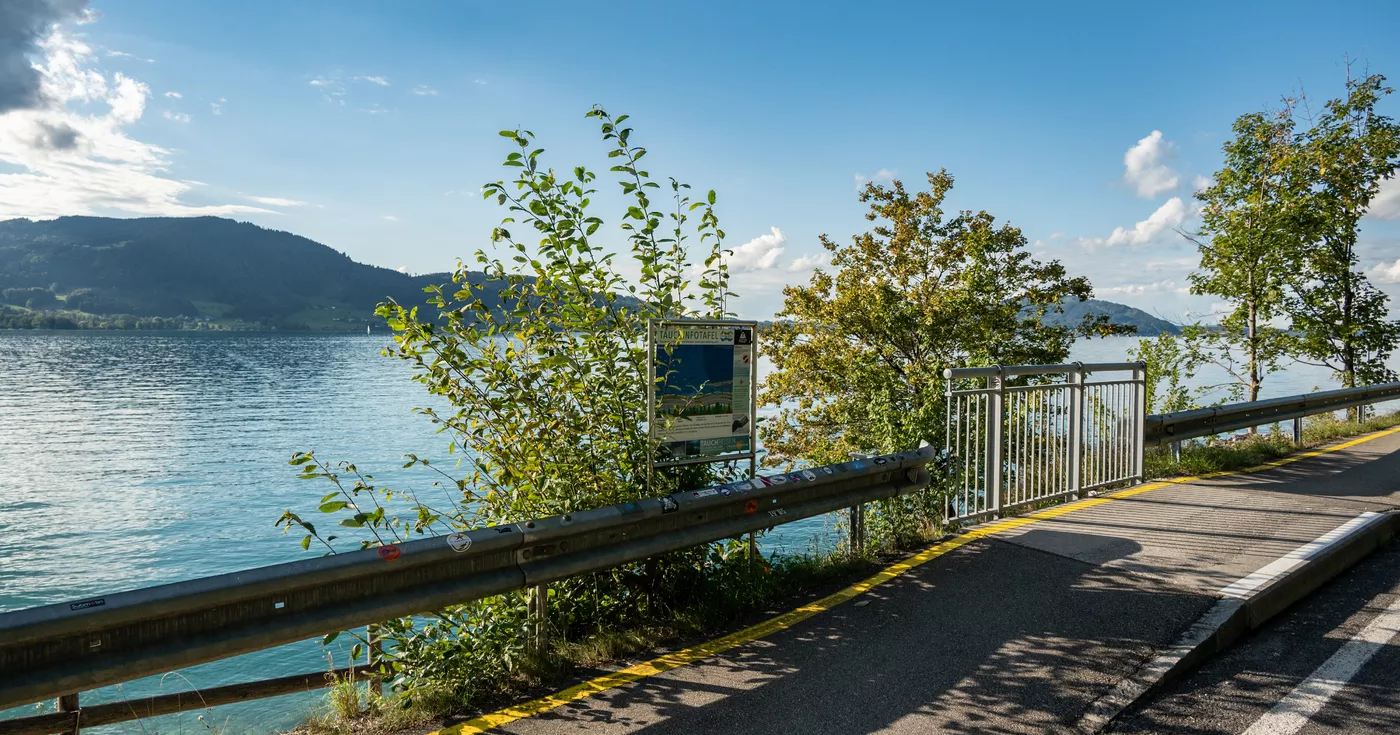 Titelbild: Tauchunfall bei der Schwarzen Brücke