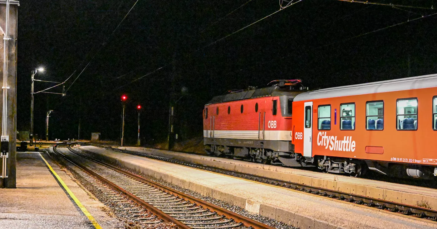 Stier von Triebwagen getötet