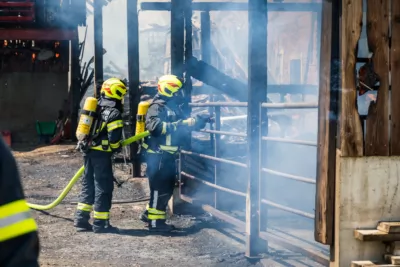 Brand auf landwirtschaftlichem Betrieb in St. Marienkirchen an der Polsenz - 16 Feuerwehren im Einsatz BAYER-AB2-8539.jpg