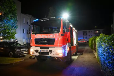 Küchenbrand in Hart: Bewohnerin verletzt sich bei Löschversuch DSC-3441.jpg