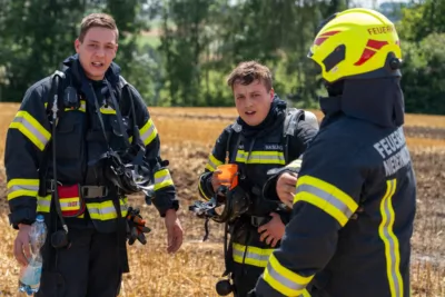 Feldbrand in Niederwaldkirchen: Feuerwehr verhindert Schlimmeres A7405118-2400.jpg