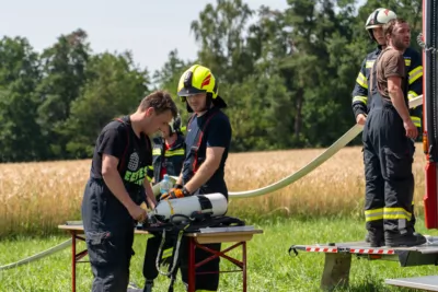 Feldbrand in Niederwaldkirchen: Feuerwehr verhindert Schlimmeres A7405139-2400.jpg