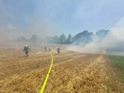 Feldbrand in Niederwaldkirchen: Feuerwehr verhindert Schlimmeres WhatsApp-Bild-2024-06-29-um-15-35-35-904a739f.jpg