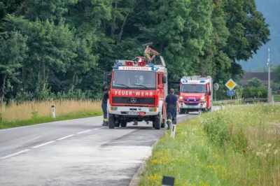 Sportwagen bei Kreuzungscrash zerstört - eine Person verletzt DSC-3570.jpg