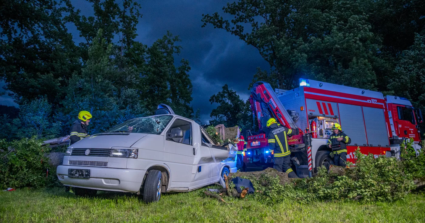 Titelbild: Baum stürzt auf Festivalparkplatz und fordert hohen Sachschaden - Festivalgelände evakuiert