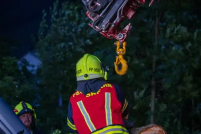 Baum stürzt auf Festivalparkplatz und fordert hohen Sachschaden - Festivalgelände evakuiert DSC-4585.jpg