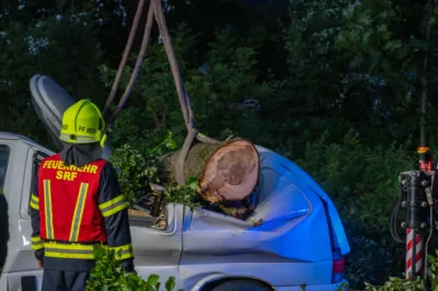 Baum stürzt auf Festivalparkplatz und fordert hohen Sachschaden - Festivalgelände evakuiert DSC-4588.jpg