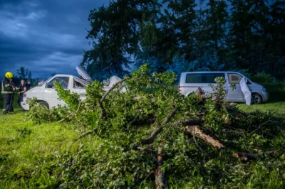 Baum stürzt auf Festivalparkplatz und fordert hohen Sachschaden - Festivalgelände evakuiert DSC-4614.jpg