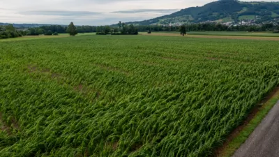 Schweres Gewitter fordert Einsatzkräfte in Micheldorf in Oberösterreich DJI-0790.jpg