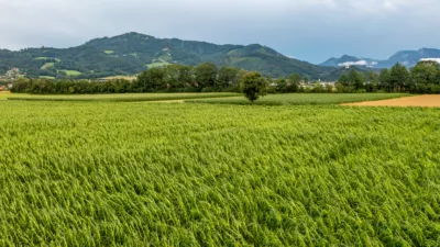 Schweres Gewitter fordert Einsatzkräfte in Micheldorf in Oberösterreich DJI-0792.jpg