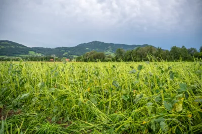 Schweres Gewitter fordert Einsatzkräfte in Micheldorf in Oberösterreich DSC-4957.jpg