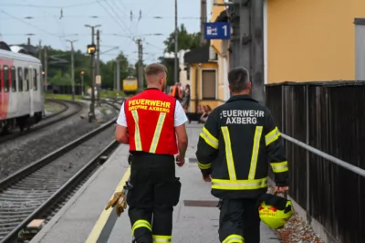 Überhitzte Bremse eines Zuges GABRIEL-2024071920410778-002.jpg