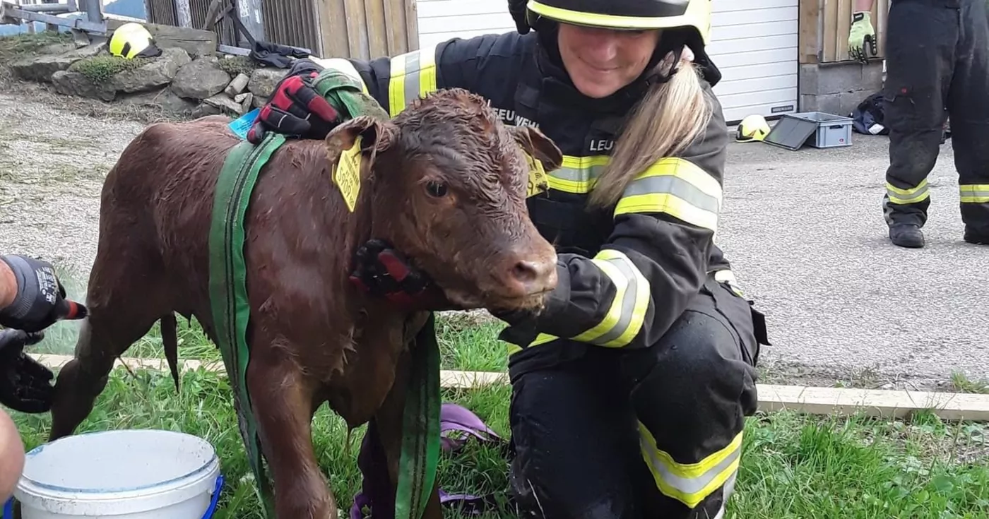 Titelbild: Feuerwehr rettet Kalb aus Güllegrube