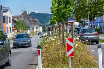 Ärger über hohe Blühstreifen in Scharnsteiner Ortsgebiet DSC-6516.jpg