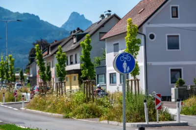 Ärger über hohe Blühstreifen in Scharnsteiner Ortsgebiet DSC-6575.jpg