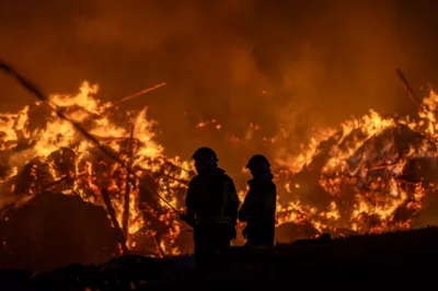 22 Feuerwehren bei Großbrand im Bezirk Perg im Einsatz BRANDSTAETTER-20240801-52.jpg