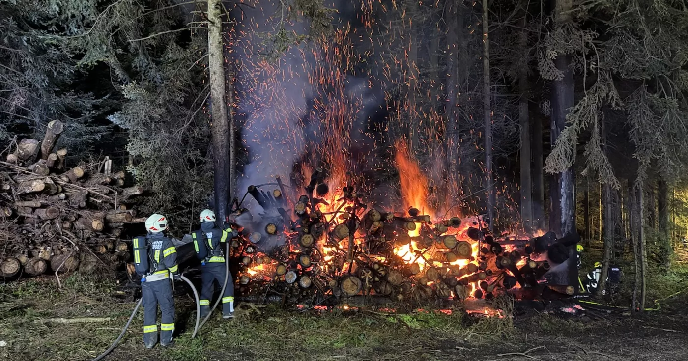 Holzstoß brannte im Wald