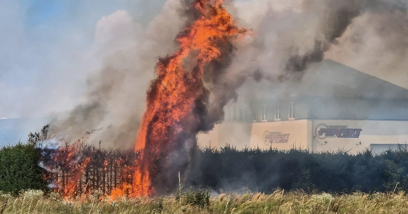 Titelbild: Heckenbrand aufgrund anhaltender Trockenheit