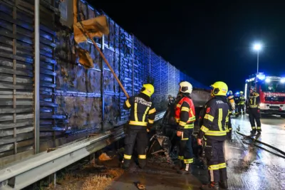 PKW-Brand auf der A1 Westautobahn führt zu Verzögerungen FOKE-2024080323055592-106.jpg