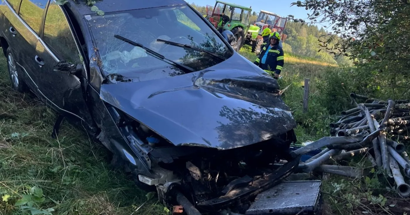 Fahrzeugbergung in Kirchschlag: Auto rollt über Kuhweide ins Waldstück