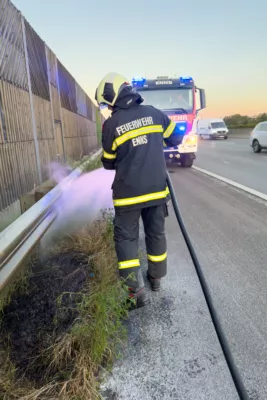 Grünstreifenbrand auf der Autobahn FOKE-2024081120144237-015.jpg