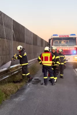 Grünstreifenbrand auf der Autobahn FOKE-2024081120154246-024.jpg