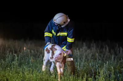 Brand auf landwirtschaftlichem Betrieb in Kefermarkt BRANDSTAETTER-20240813-17-2.jpg