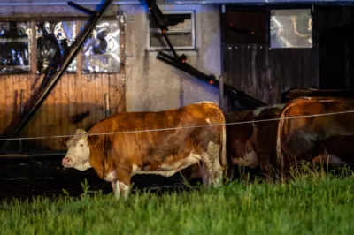 Brand auf landwirtschaftlichem Betrieb in Kefermarkt BRANDSTAETTER-20240813-34-2.jpg