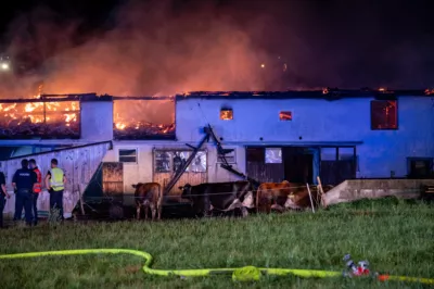 Brand auf landwirtschaftlichem Betrieb in Kefermarkt BRANDSTAETTER-20240813-48.jpg