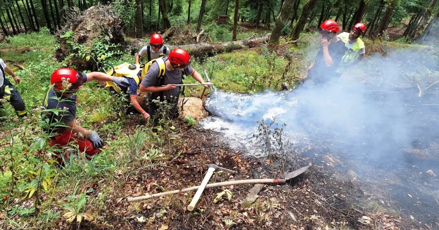 Titelbild: Blitzschlag verursacht Baumbrand in Grünau