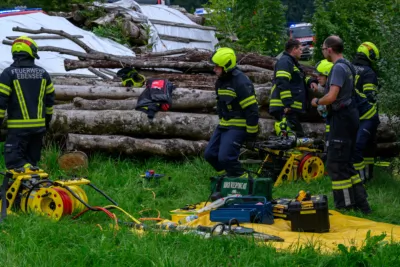 Unfall nach Sekundenschlaf FOKE-2024081917319039-104.jpg