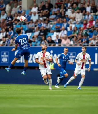 Admiral Bundesliga - FC Blau-Weiß Linz gegen SK Rapid DSC-2112.jpg