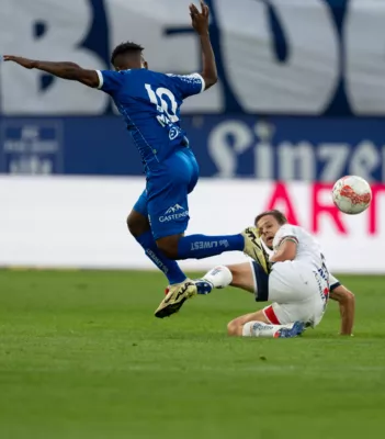 Admiral Bundesliga - FC Blau-Weiß Linz gegen SK Rapid DSC-2452.jpg